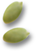 elaichi